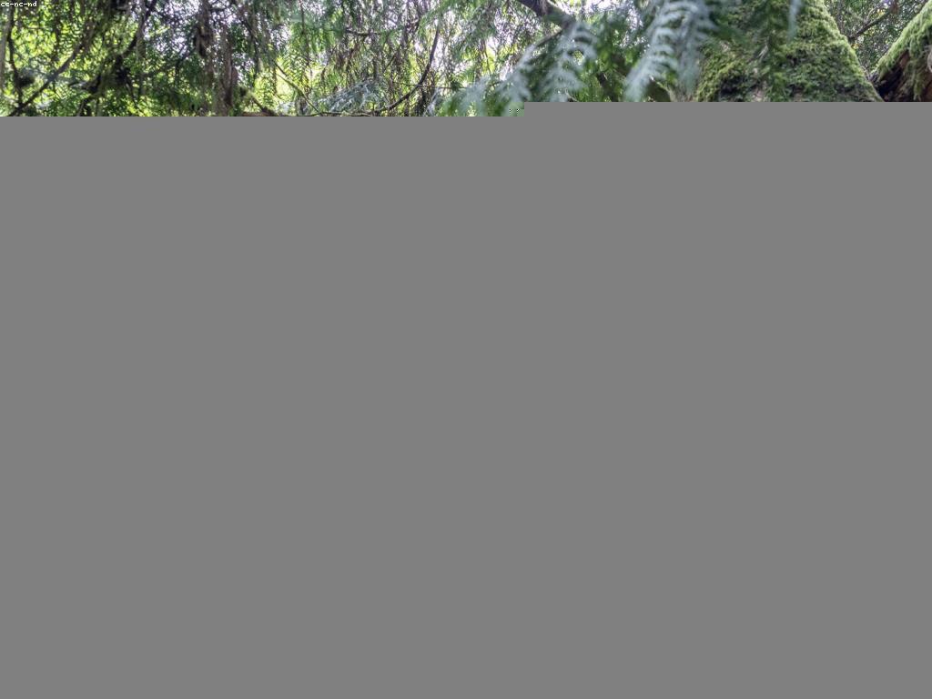 យុទ្ធសាស្ត្រសម្រាប់ការច្នៃប្រឌិតនិងក្តីស្រមៃ